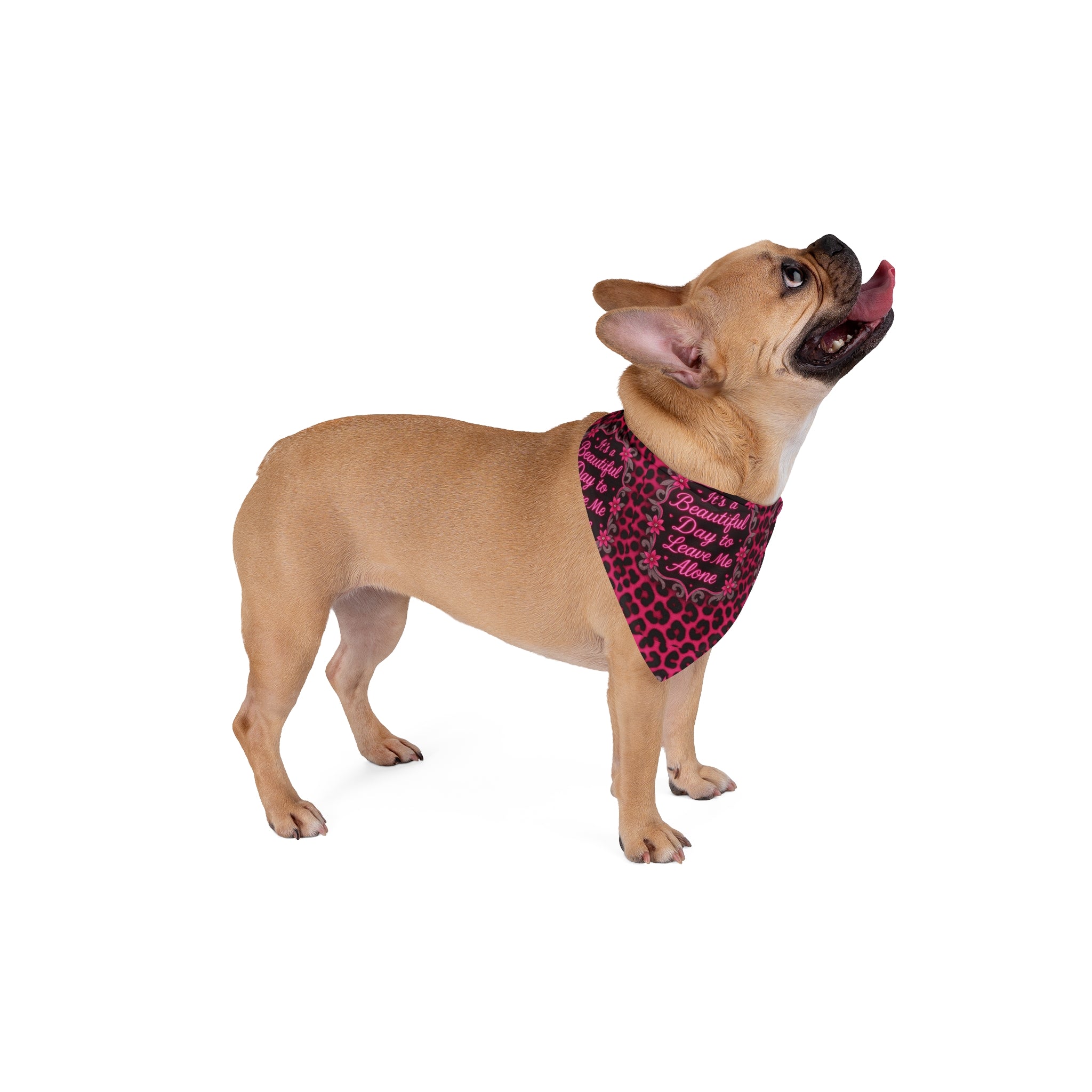 Hot Pink It's a Beautiful Day To Leave Me Alone Pet Bandana